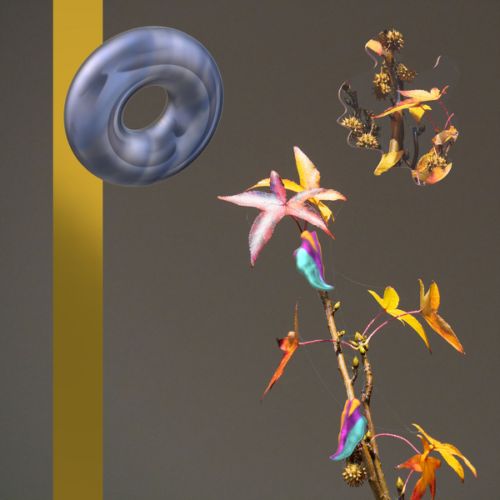 Cocons de chenilles mutantes (n° 2)