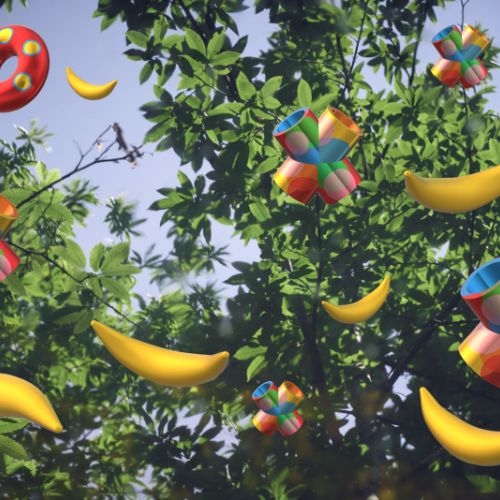 Bananes en apesanteur