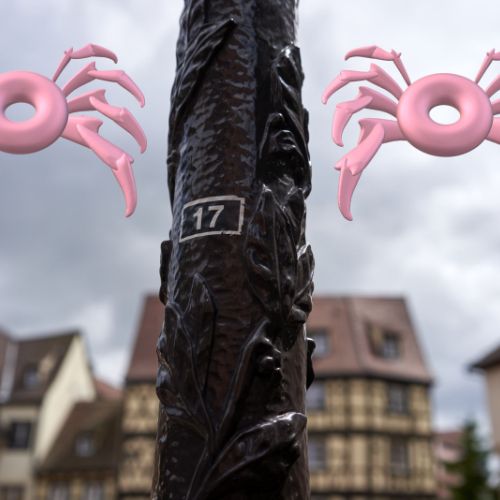 Deux araignées au dix-sept