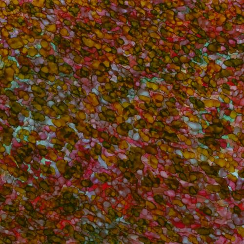 Été 2022 53-A