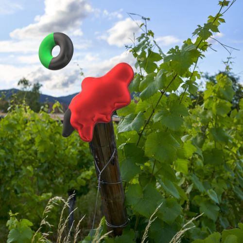 Dans les vignes