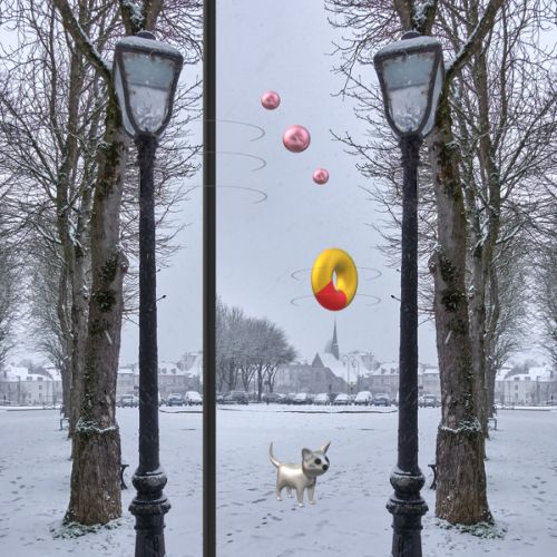 Petit chat dans la neige n°1