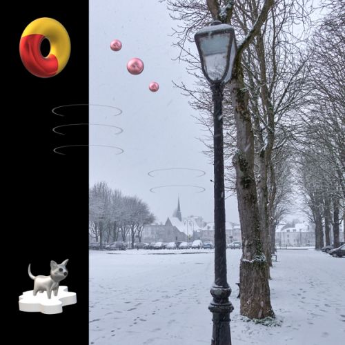 Petit chat dans la neige n°2