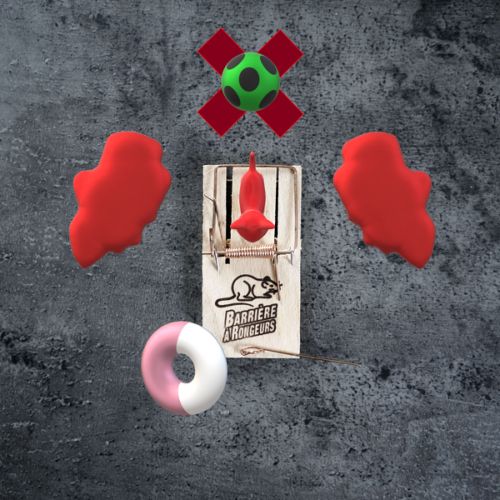 Un chat végétarien