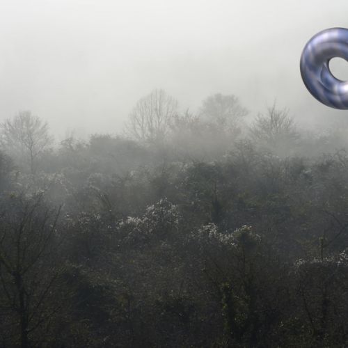 Brouillard matinal