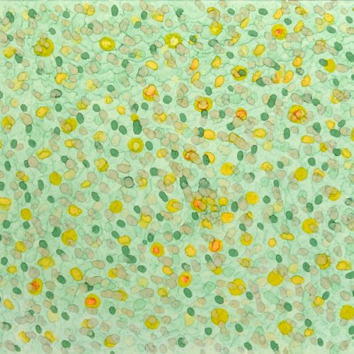Automne 2021 1-A