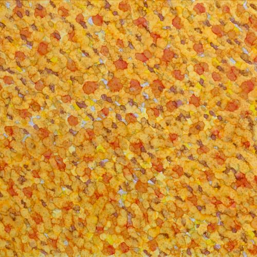Automne 2021 3-A