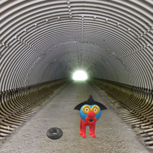 Petit chien dans un tunnel