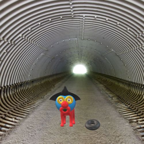 Petite chienne dans un tunnel