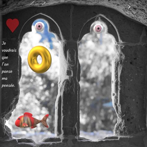 Je voudrais que l’on panse ma pensée (n°2)