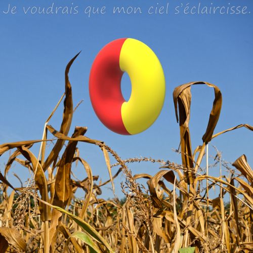 Je voudrais que mon ciel s'éclaircisse (n°6)