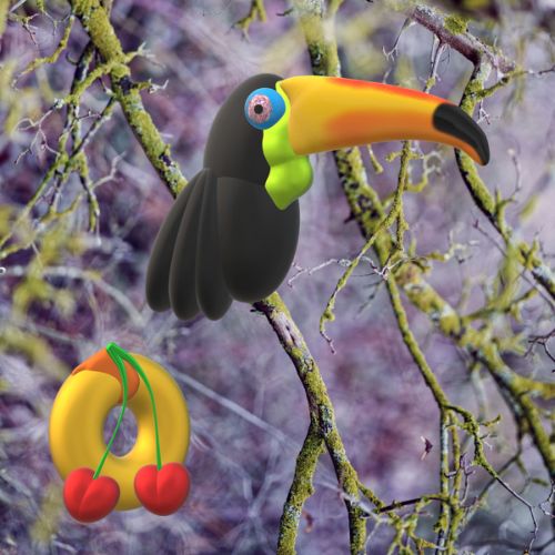 Toucan dans une forêt nous regardant