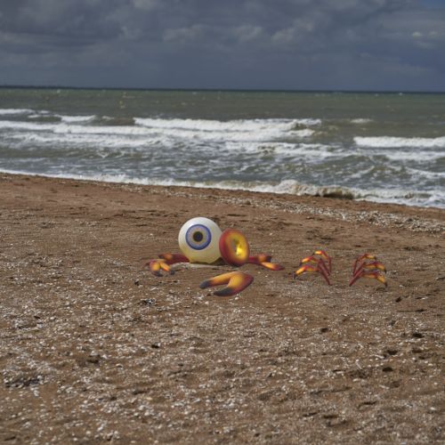 Œil échoué sur la plage, et crabe mort