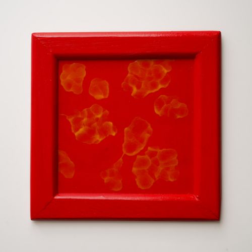 N° 21 - Acryl sur bois (2025)